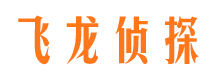 鹤城市侦探调查公司